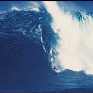 Jaws_blur