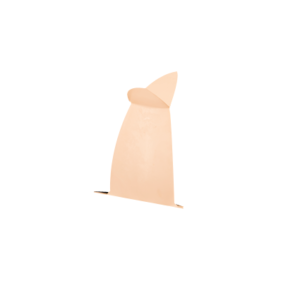 Star Fin
